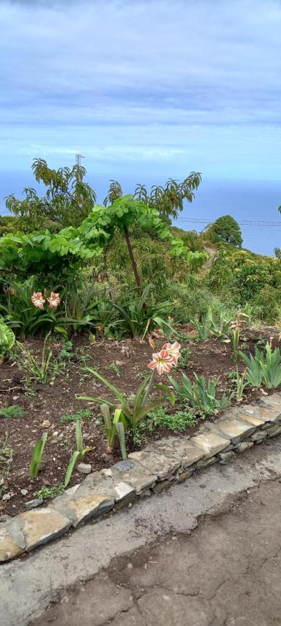 Casa Nieves De Mario Villa Santa Cruz de la Palma  Eksteriør billede
