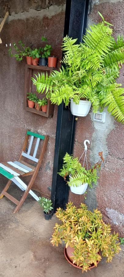 Casa Nieves De Mario Villa Santa Cruz de la Palma  Eksteriør billede