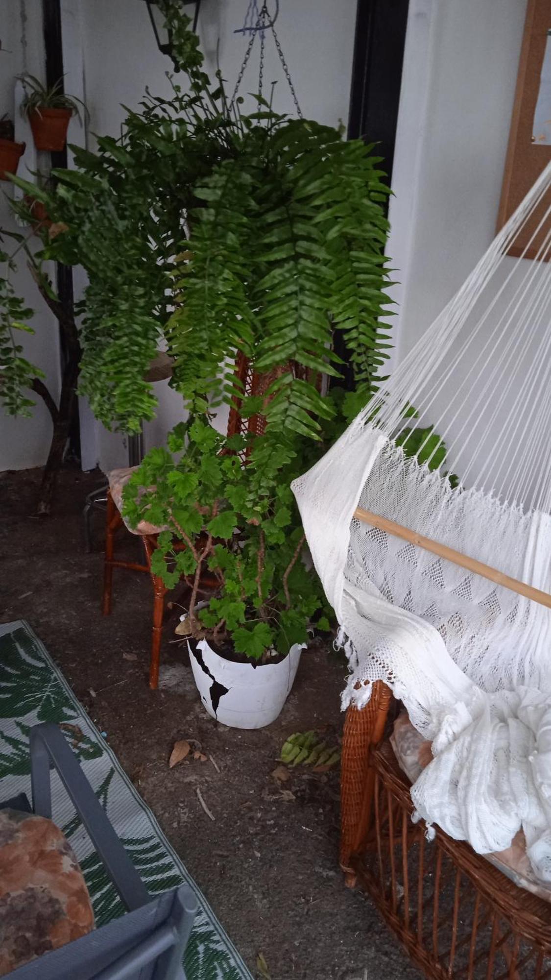 Casa Nieves De Mario Villa Santa Cruz de la Palma  Eksteriør billede